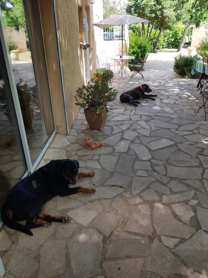 Cap Au Sud Sweet Home Νιμ Εξωτερικό φωτογραφία