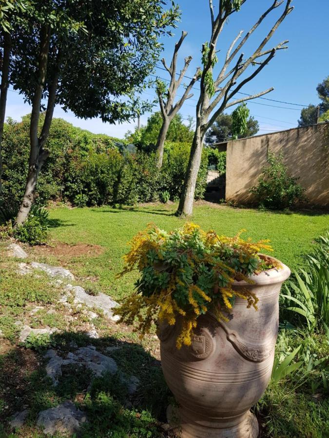 Cap Au Sud Sweet Home Νιμ Εξωτερικό φωτογραφία
