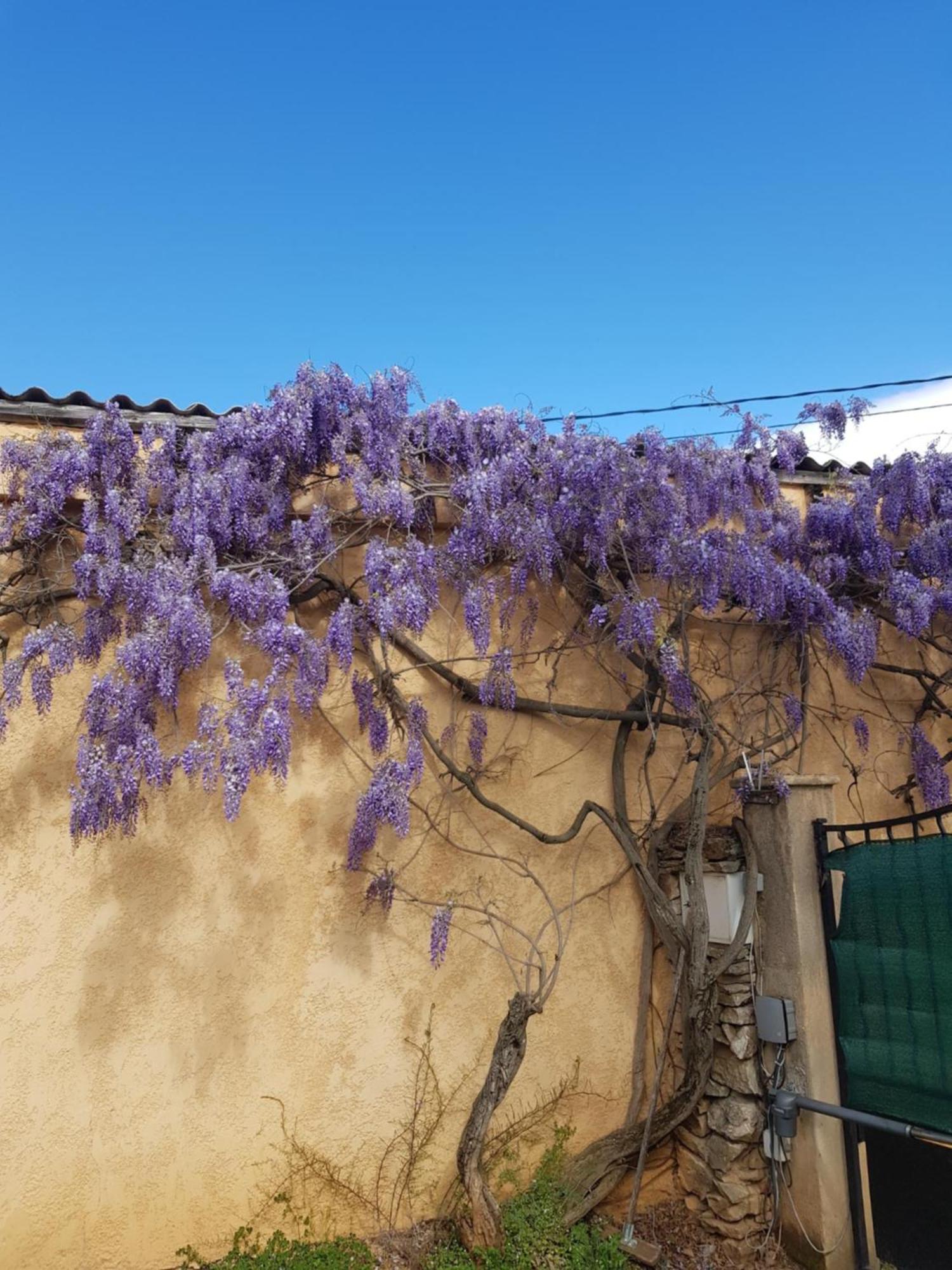 Cap Au Sud Sweet Home Νιμ Εξωτερικό φωτογραφία