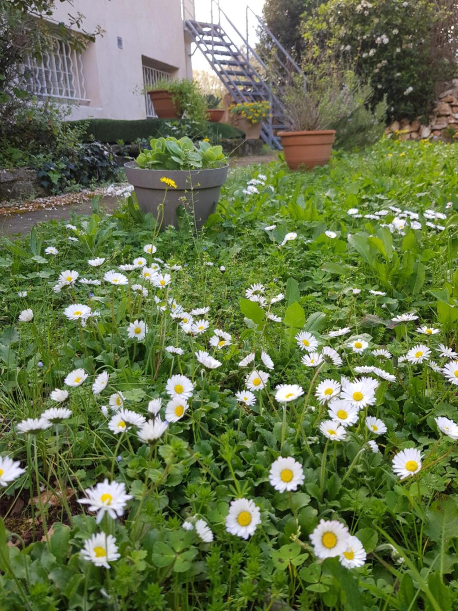 Cap Au Sud Sweet Home Νιμ Εξωτερικό φωτογραφία