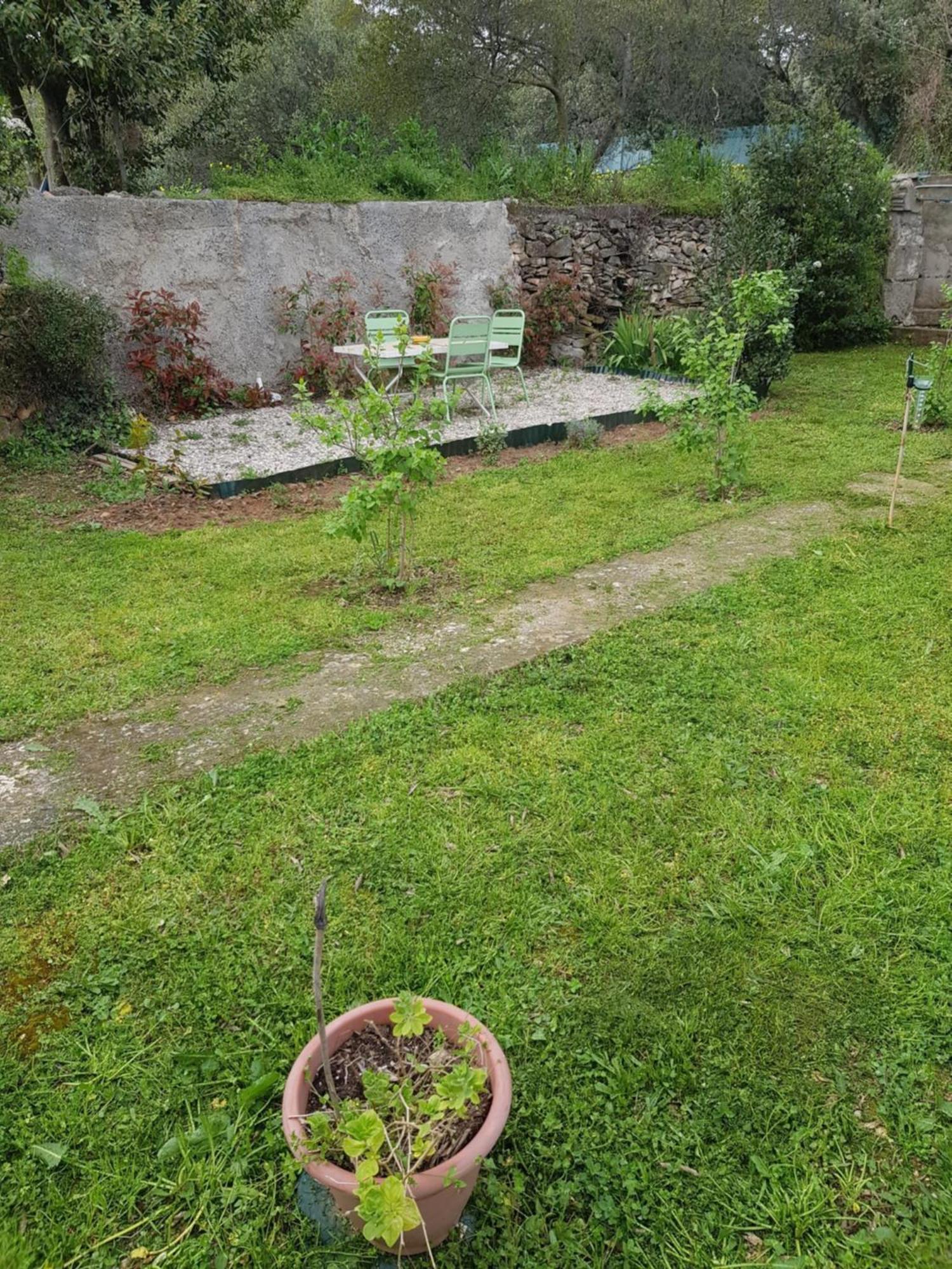Cap Au Sud Sweet Home Νιμ Εξωτερικό φωτογραφία