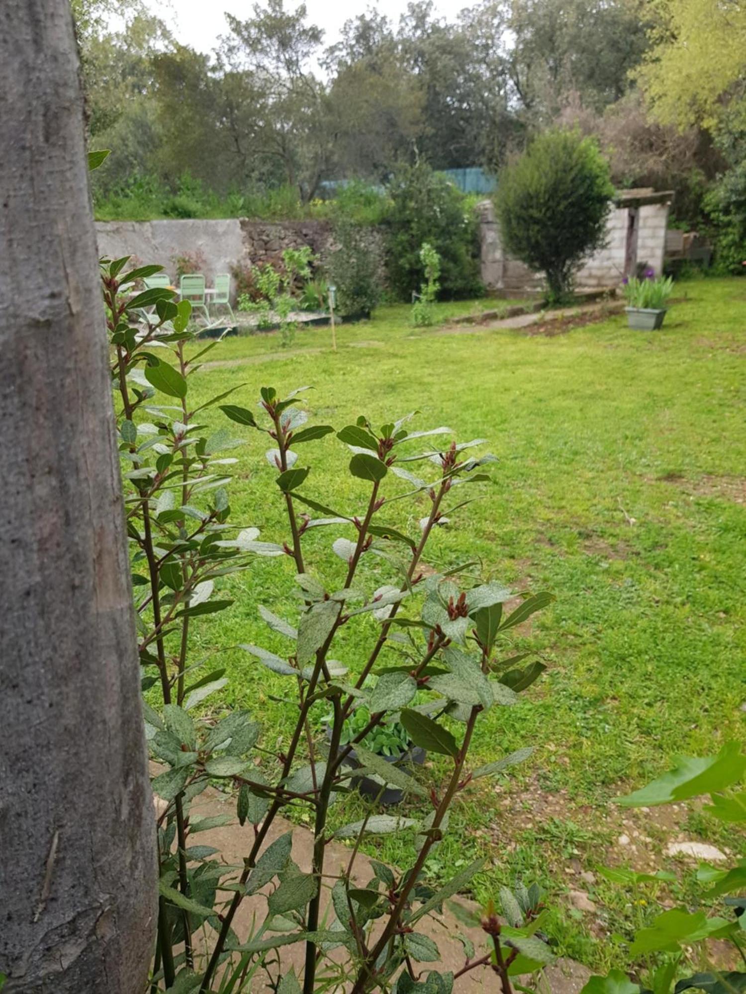 Cap Au Sud Sweet Home Νιμ Εξωτερικό φωτογραφία