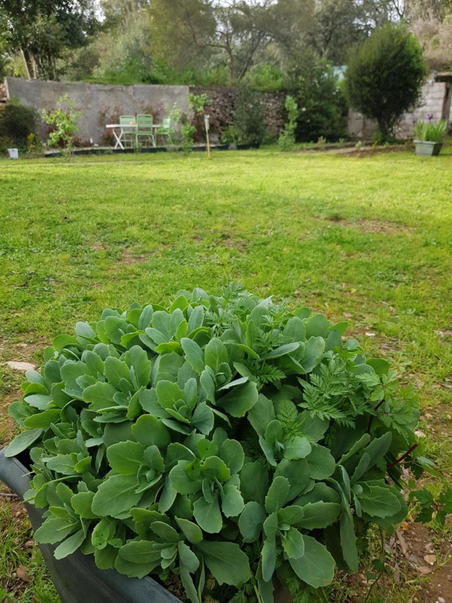 Cap Au Sud Sweet Home Νιμ Εξωτερικό φωτογραφία