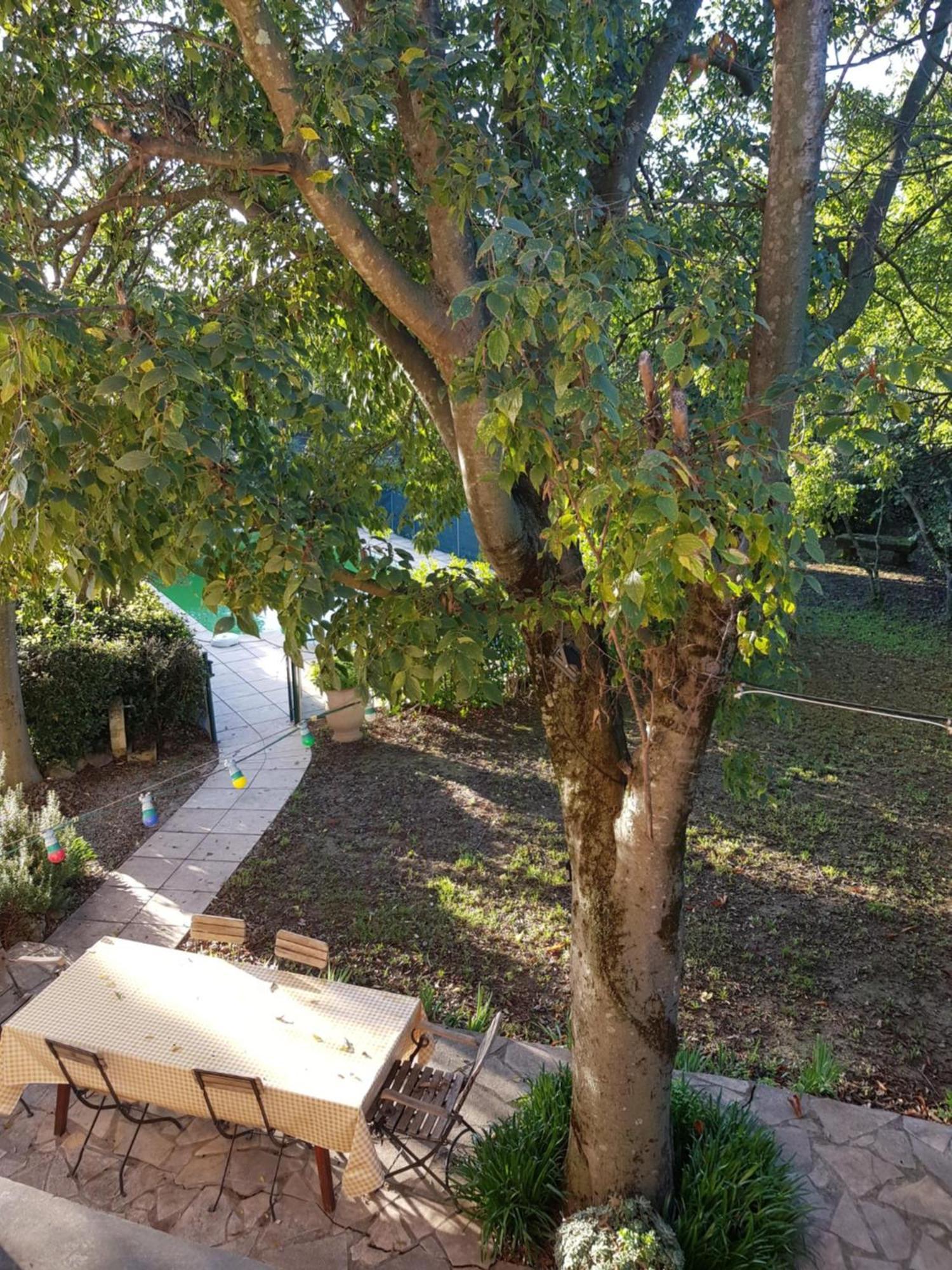 Cap Au Sud Sweet Home Νιμ Εξωτερικό φωτογραφία